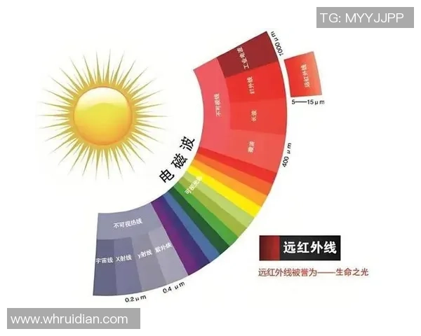 从零起步提升网球心理素质的全面指南与实用技巧分享